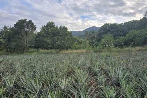 Terrain à Hua Hin, Thaïlande 26992 m2 № 169076 - photo 6