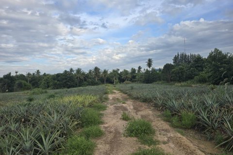 Terrain à Hua Hin, Thaïlande 26992 m2 № 169076 - photo 2