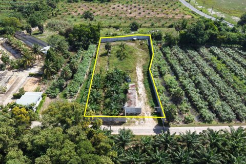 Land in Phang Nga, Thailand 3200 sq.m. № 169078 - photo 4