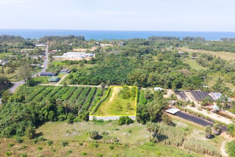 Land in Phang Nga, Thailand 3200 sq.m. № 169078