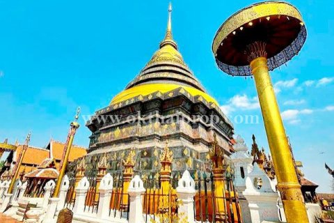 Land in Lampang, Thailand 9600 sq.m. № 169077 - photo 17