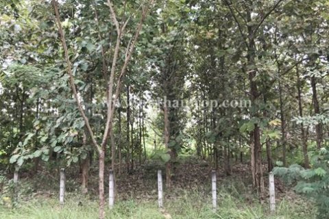 Land in Lampang, Thailand 9600 sq.m. № 169077 - photo 11