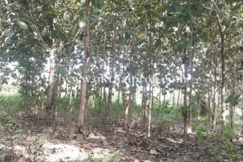 Land in Lampang, Thailand 9600 sq.m. № 169077 - photo 12