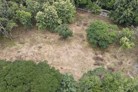 Land in Chiang Mai, Thailand № 121761 - photo 3