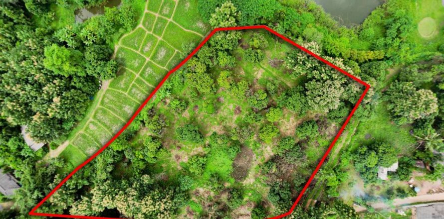 Terrain à Chiang Mai, Thaïlande № 121746