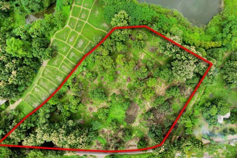 Land in Chiang Mai, Thailand № 121746