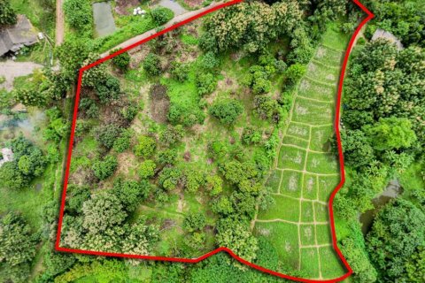 Земельный участок в Чиангмае, Таиланд  № 121746 - фото 4