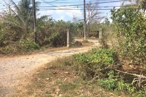 Terrain à Chanthaburi, Thaïlande 26444 m2 № 154893 - photo 6