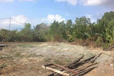 Terrain à Chanthaburi, Thaïlande 26444 m2 № 154893 - photo 4