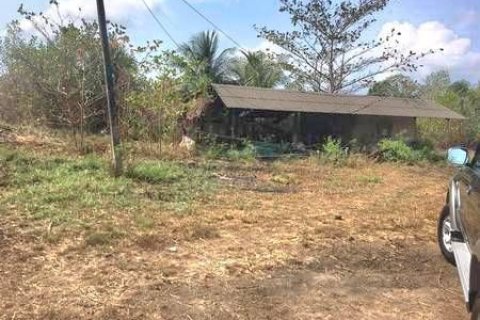 Terrain à Chanthaburi, Thaïlande 26444 m2 № 154893 - photo 5