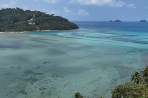 Земельный участок в Сураттхани, Таиланд № 172693 - фото 5