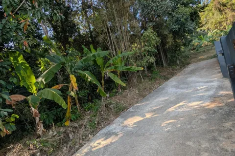 House in Mae Chan, Thailand 3 bedrooms № 160377 - photo 7