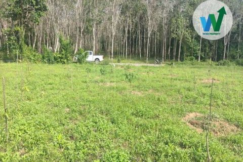 Terrain à Phatthalung, Thaïlande 2358.8 m2 № 160371 - photo 8