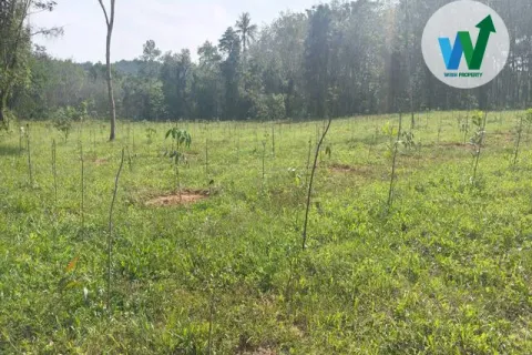 Terrain à Phatthalung, Thaïlande 2358.8 m2 № 160371 - photo 2