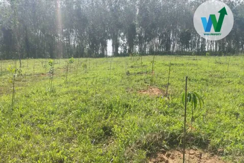 Terrain à Phatthalung, Thaïlande 2358.8 m2 № 160371 - photo 3