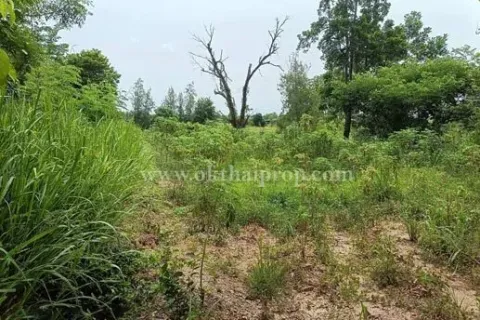 Land in Pattaya, Thailand 8192 sq.m. № 154373 - photo 3
