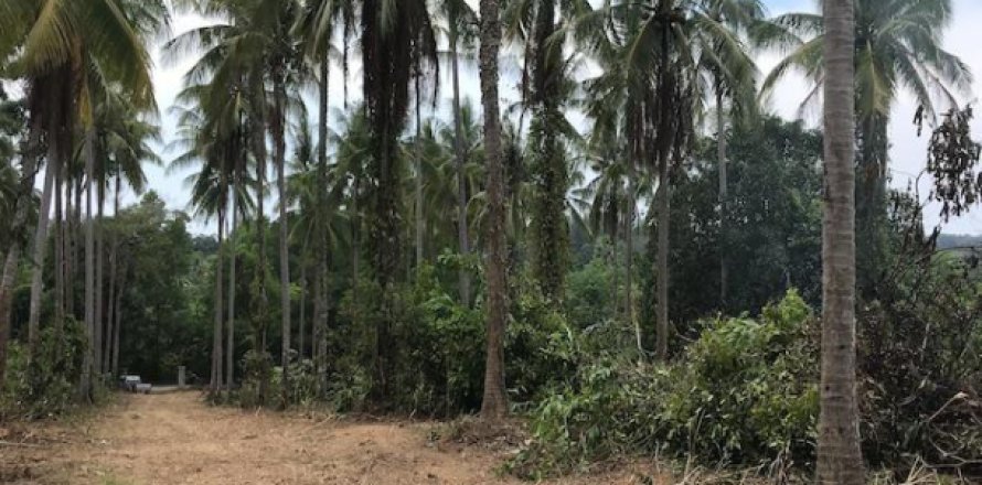 Terrain à Phang Nga, Thaïlande 27536 m2 № 193528