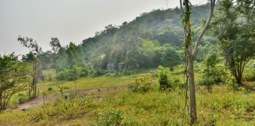 Grundstück in Hua Hin, Thailand 68800 m2 № 222057
