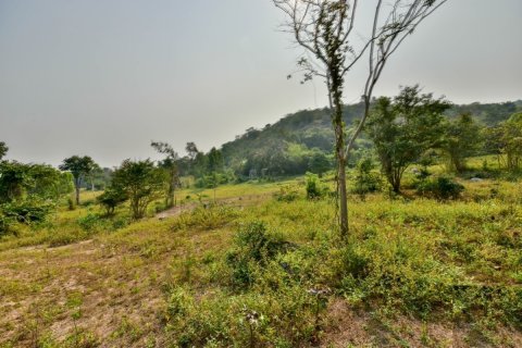Grundstück in Hua Hin, Thailand 68800 m2 № 222057 - Foto 16