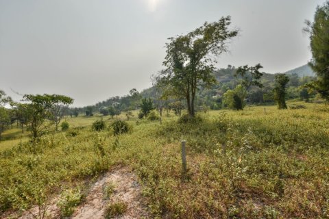 Grundstück in Hua Hin, Thailand 68800 m2 № 222057 - Foto 8