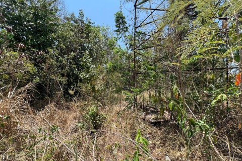 Grundstück in Hua Hin, Thailand 22815 m2 № 222058 - Foto 10