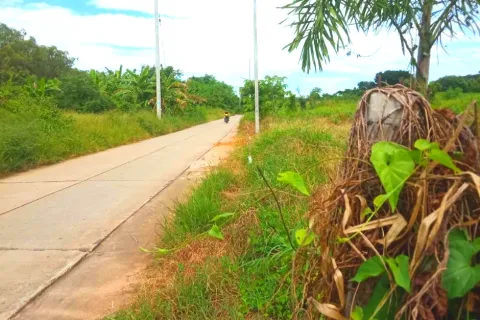 Terrain à Sikhio, Thaïlande 1200 m2 № 148862 - photo 4