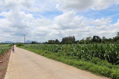 Земельный участок в Сакэу, Таиланд 67200м2  № 148863