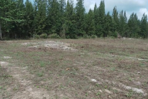 Land in Hua Hin, Thailand 9600 sq.m. № 148859 - photo 2