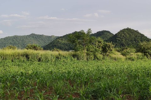 Terrain à Pak Chong, Thaïlande 6.5 m2 № 161722 - photo 5