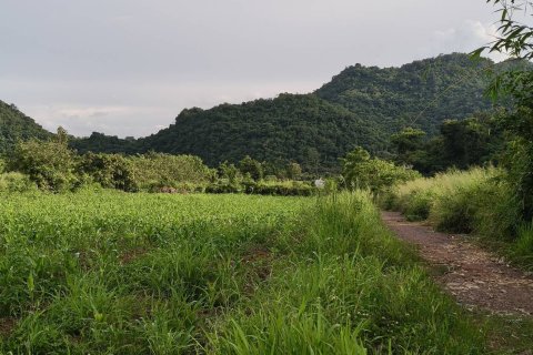 Terrain à Pak Chong, Thaïlande 6.5 m2 № 161722 - photo 4