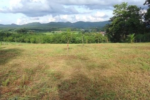 Земельный участок в Лее, Таиланд 24000м2  № 148030 - фото 1