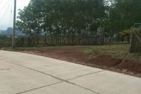 Земельный участок в Лее, Таиланд 24000м2  № 148030 - фото 6