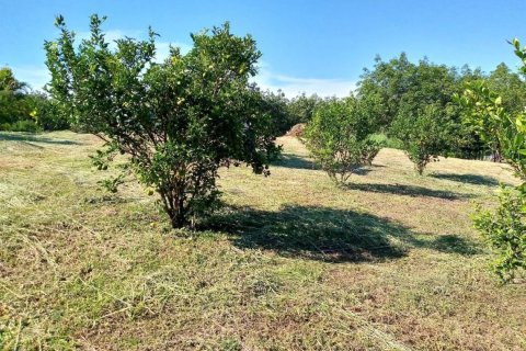 Земельный участок в Лее, Таиланд 24000м2  № 148030 - фото 5