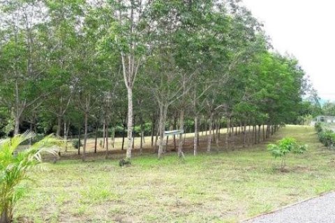 Земельный участок в Лее, Таиланд 24000м2  № 148030 - фото 2