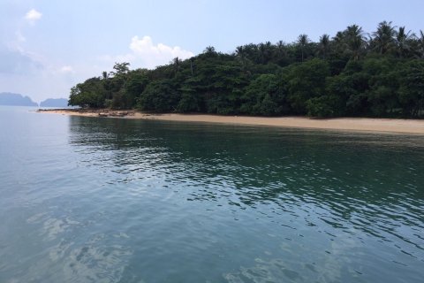 Land in Ko Lanta Yai, Thailand 115200 sq.m. № 159590 - photo 7