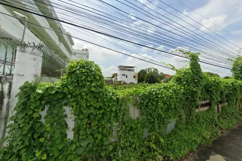 Земельный участок в Бангкоке, Таиланд 1564м2  № 159592 - фото 2