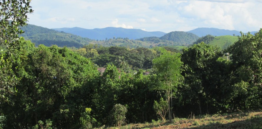 Terrain à Chiang Rai, Thaïlande 14000 m2 № 148916
