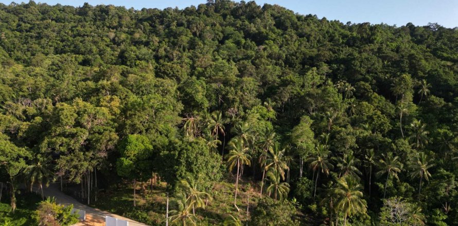 Land in Ko Samui, Thailand 1600 sq.m. № 136652