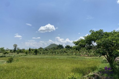 Земельный участок в Лампхуне, Таиланд  № 162550 - фото 11