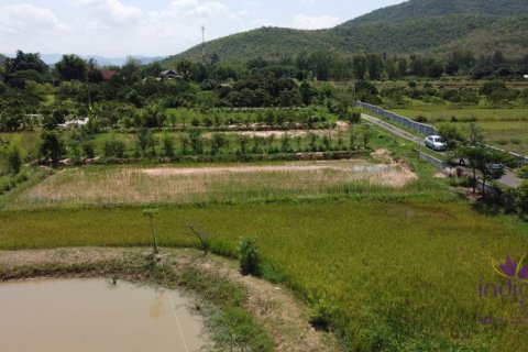 Земельный участок в Лампхуне, Таиланд  № 162550 - фото 8
