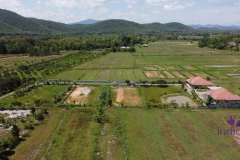 Земельный участок в Лампхуне, Таиланд  № 162550 - фото 2