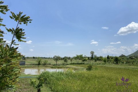 Земельный участок в Лампхуне, Таиланд  № 162550 - фото 9