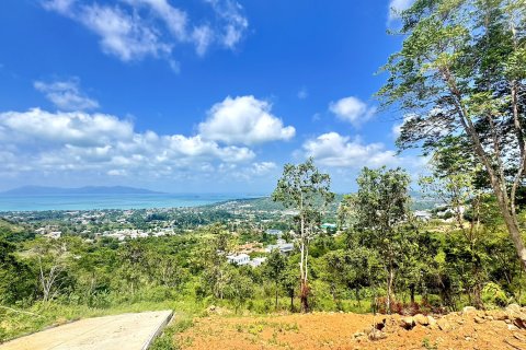 Земельный участок в Самуи, Таиланд  № 171366 - фото 3