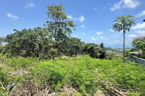 Земельный участок в Самуи, Таиланд  № 171367 - фото 5