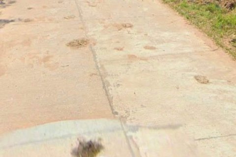 Land in Nakhon Ratchasima, Thailand 8000 sq.m. № 146092 - photo 3