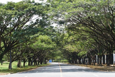 Villa in Phuket, Thailand 3 bedrooms № 135276 - photo 7