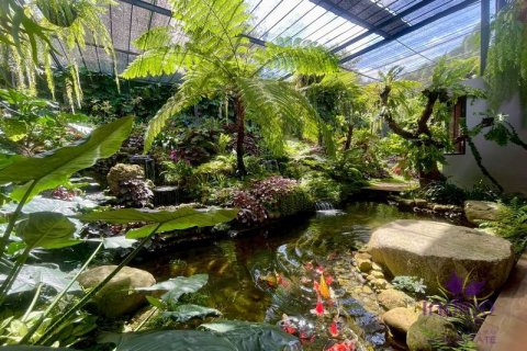 Дом в Чиангмае, Таиланд с 4 спальнями  № 162671 - фото 19