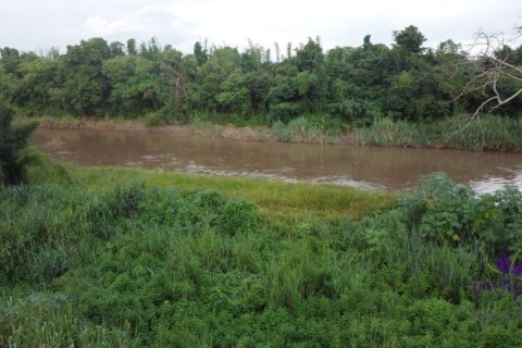 Land in Chiang Mai, Thailand № 162673 - photo 5