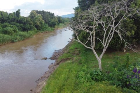 Land in Chiang Mai, Thailand № 162673 - photo 4