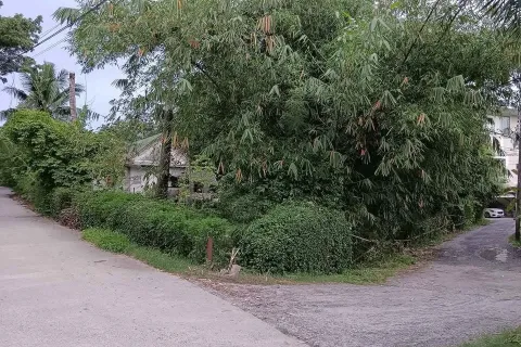 Studio in Phuket, Thailand № 161281 - photo 3